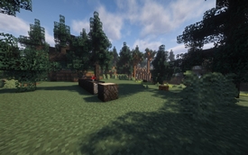 forest1.jpg