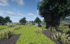wetland2.jpg