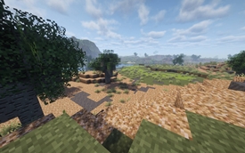 wetland1.jpg