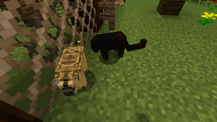 Black Howler