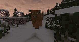 ITS SO FLUFFY