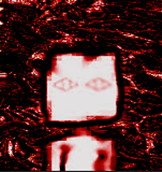 Nice_kid_Profile_Red