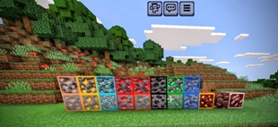 1000057033.jpg