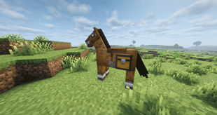 horse with chest.png