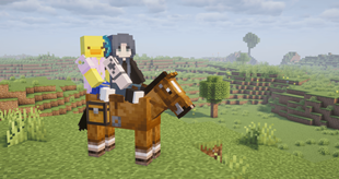 cover pic.png