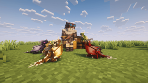 fotos-03.png