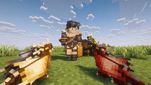 fotos-04.png