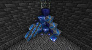 sapexpansion.png