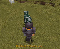 buddy-follow.png