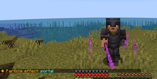 portal.png