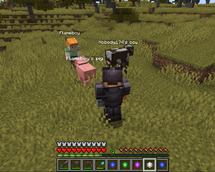 pets-player-prebattle.png