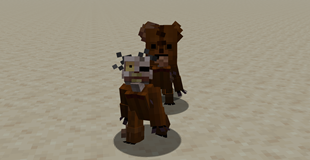 Trigger Teddies Preview