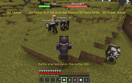 pet-battle.png