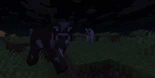 Wolf Targets Cow