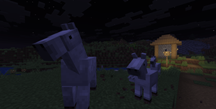 Horses Travelling in Caravan