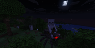 Skeleton Riding Spider