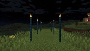 torch poles