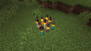 Nine torches on a single block