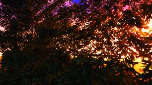 2026-07-29_03.46.34.png