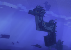Seawhorse.png