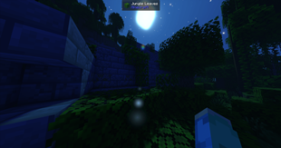 Jungle Temple