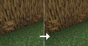 mushrooms.png