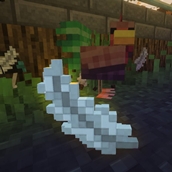 Chicken Feather