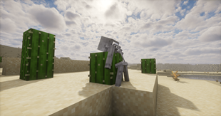 Cactus Casualty