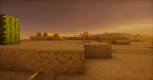 Resting Camels
