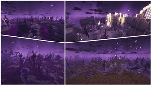 Some end biomes