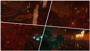 Some Nether biomes