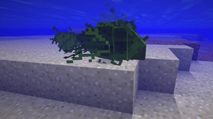 Moss benthic fish