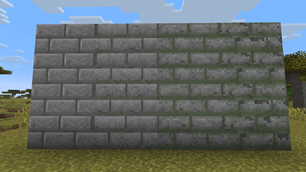 gallery_ladder_wall.png
