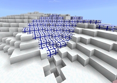 IMG_1103.jpeg