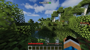 In-game view