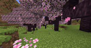 Cherry Biome