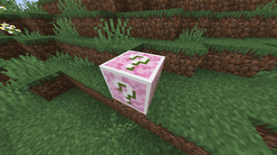 Lucky Block