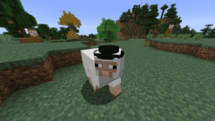 Hats