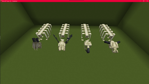 Carcasses