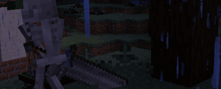 Animation.gif