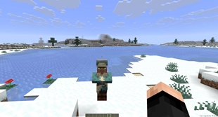 Villager
