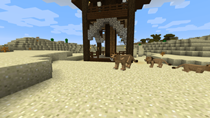 Lions