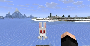 Rabbit