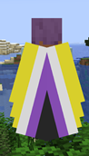 enby_elytra.png