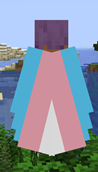 trans_elytra.png