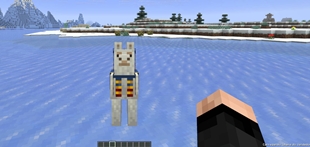 Llama