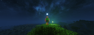 In Game Picture