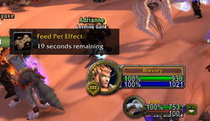 BeastCare-Feed-pet-effect.png