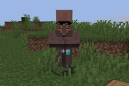 Villager