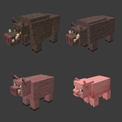 Pig domestication